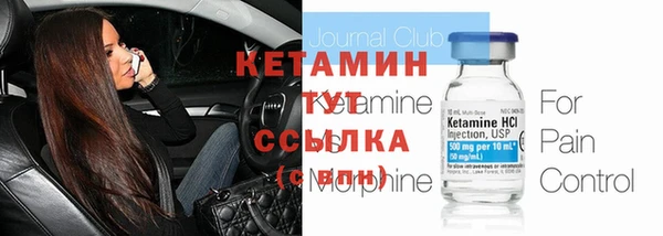 гашик Алексин