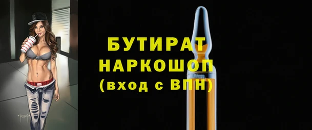 гашик Алексин