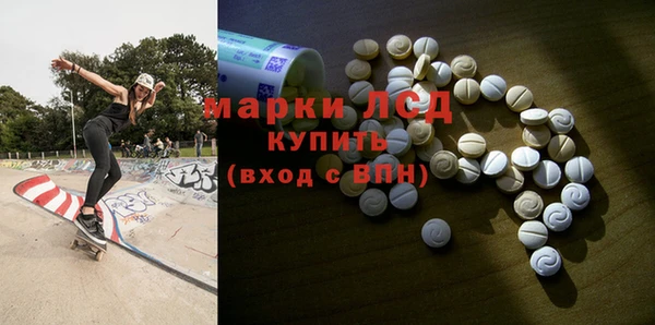 гашик Алексин