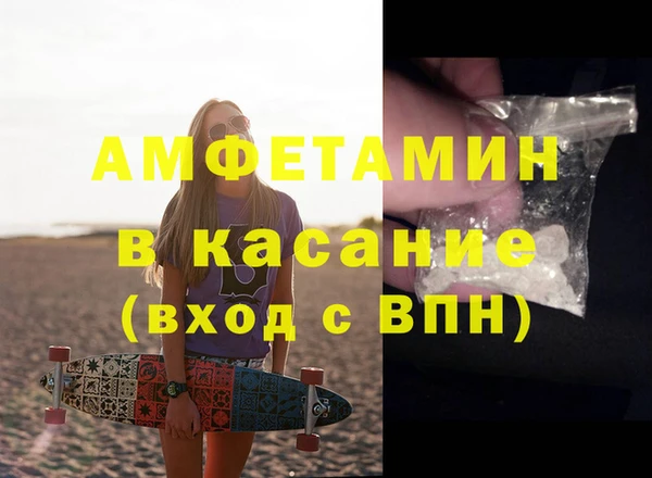 гашик Алексин