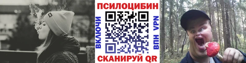 купить закладку  Сураж  Псилоцибиновые грибы Cubensis 