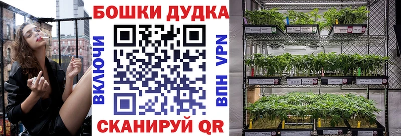 Конопля марихуана ссылка на мегу маркетплейс Сураж наркотики